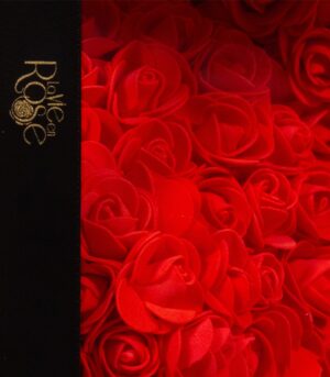 Ursuleț din Trandafiri Roșii - imagine 3