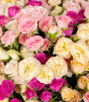 Buchet Miniroze Colorate - imagine 3