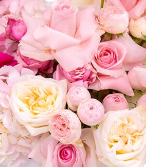 Shades of Love - imagine 3