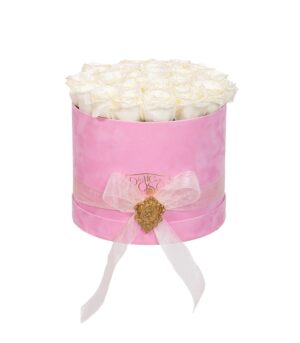 Trandafiri Finest Lady