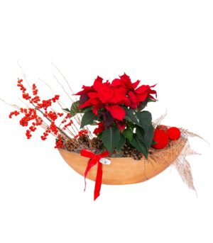 Aranjament Floarea Crăciunului - Poinsettia’s Wonderland