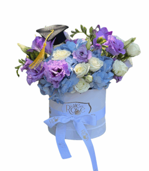 Cutia Absolvire Blue Joy